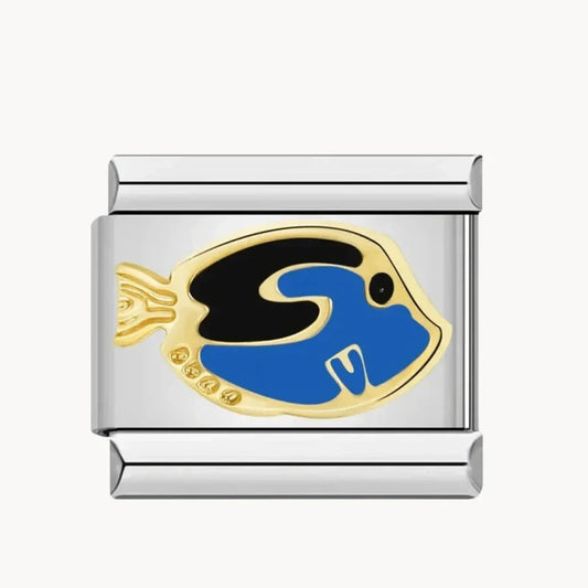 Blue/Black Fish